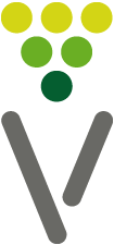 vidheko_logo